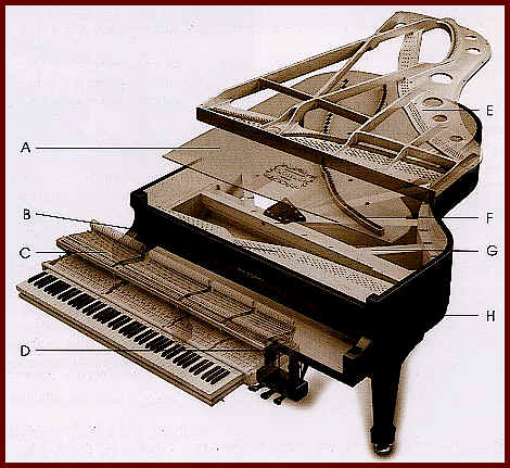 The Most Important Parts of a Piano